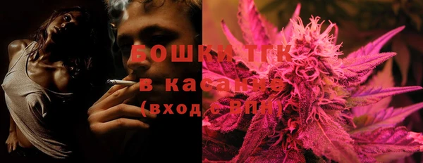 прущие грибы Алексеевка