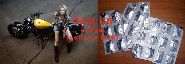 прущие грибы Алексеевка